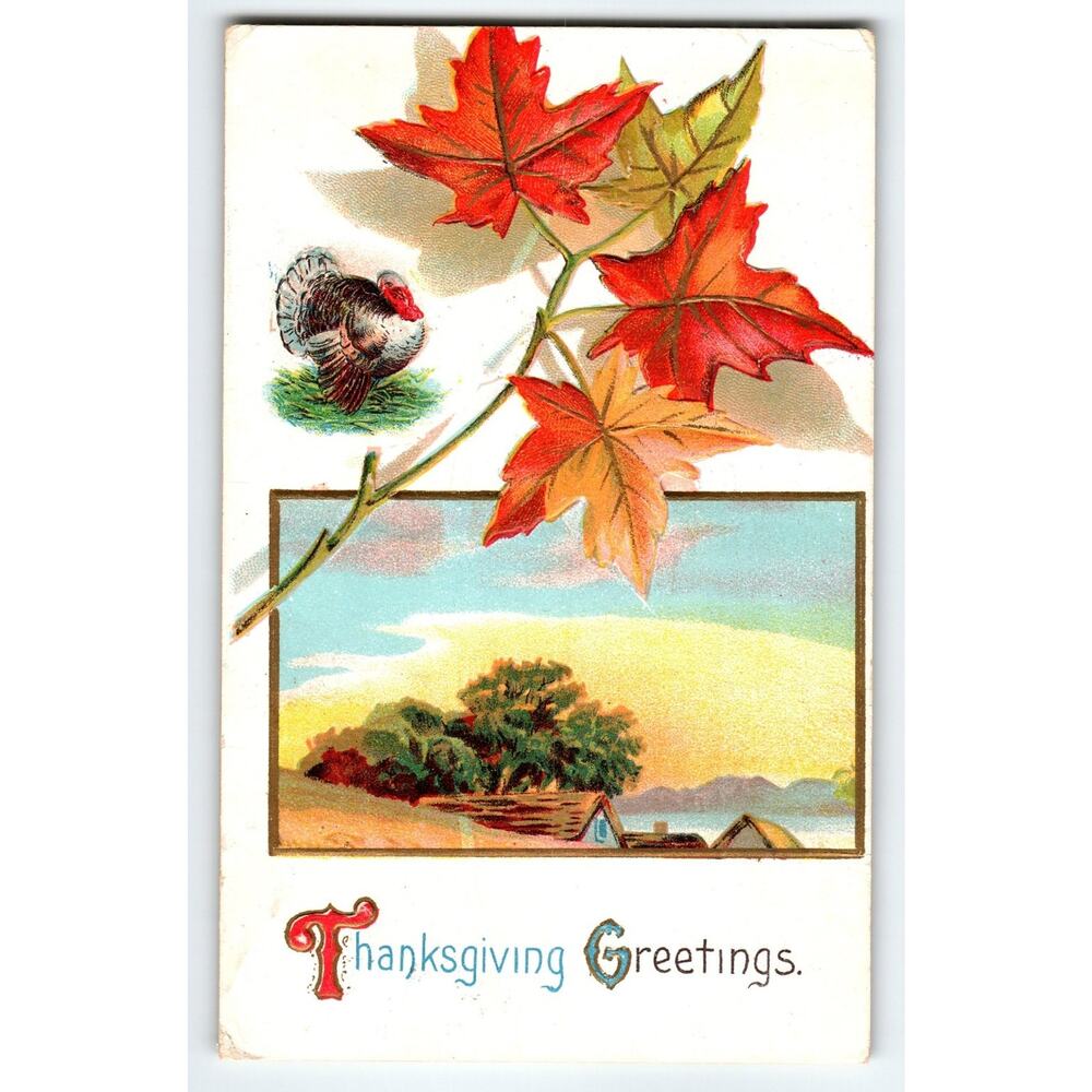 Vintage 1911 Thanksgiving Postcard with Turkey & Autumn Leaves